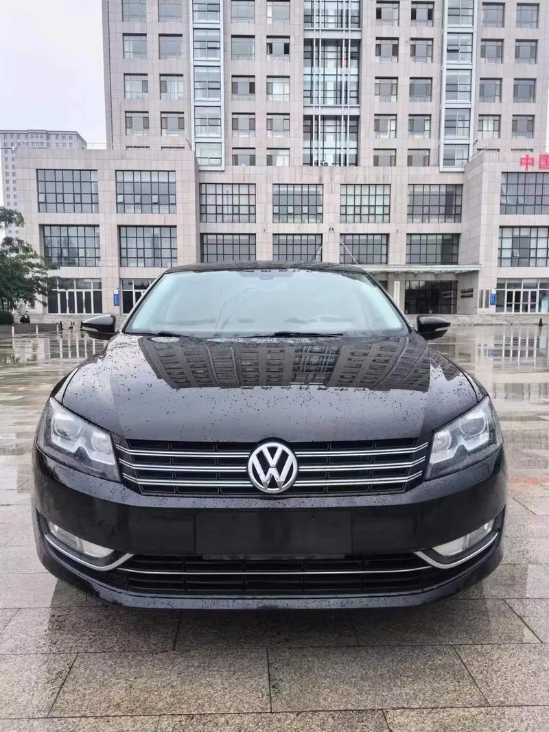 帕萨特靓号车牌,车牌中的艺术品