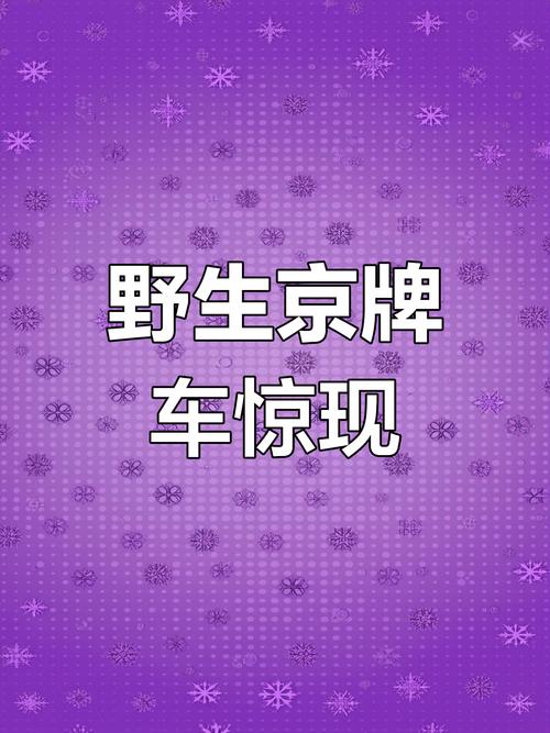 京城车牌靓号,寻有缘人共鉴传奇