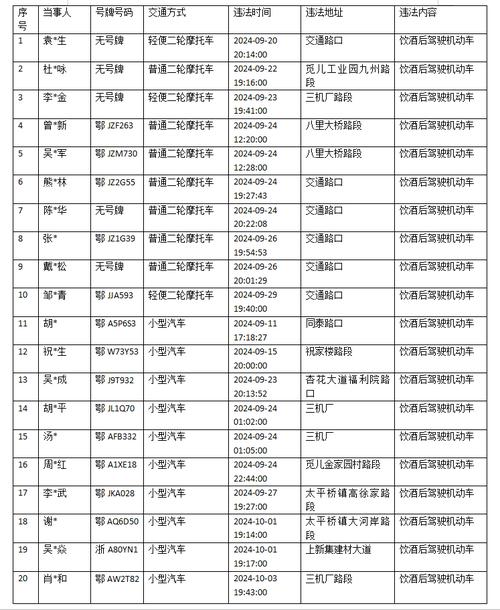 探寻红安车牌靓号,车主身份之谜