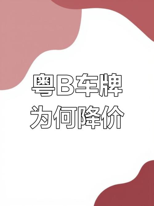 惠州车牌靓号抢购热潮:一牌难求,车主们争相竞拍!