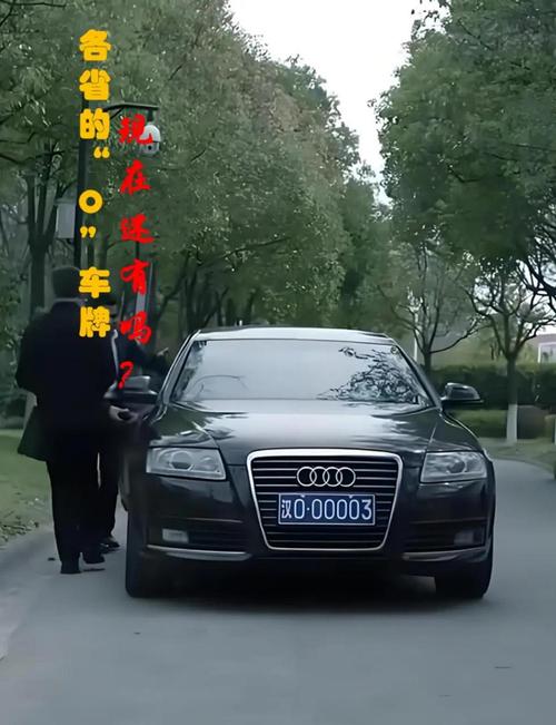 奥牌车牌:探寻这独特标识背后的地方魅力