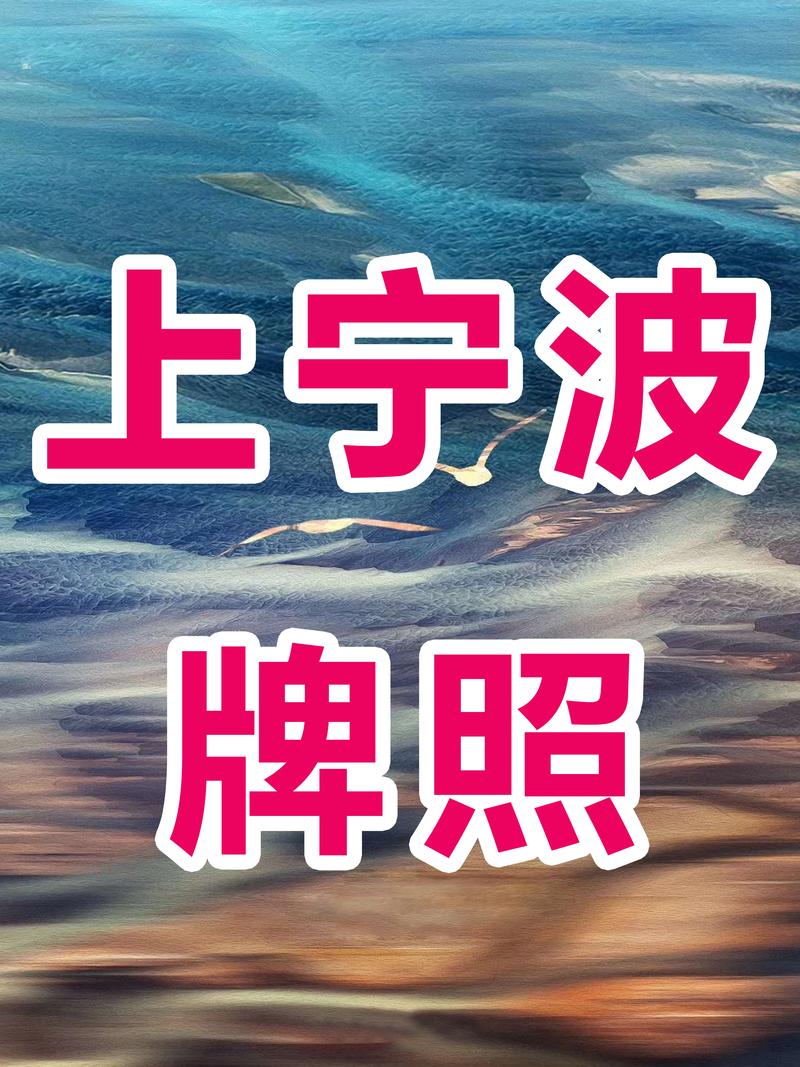宁波车牌新宠：靓号车牌成抢手货
