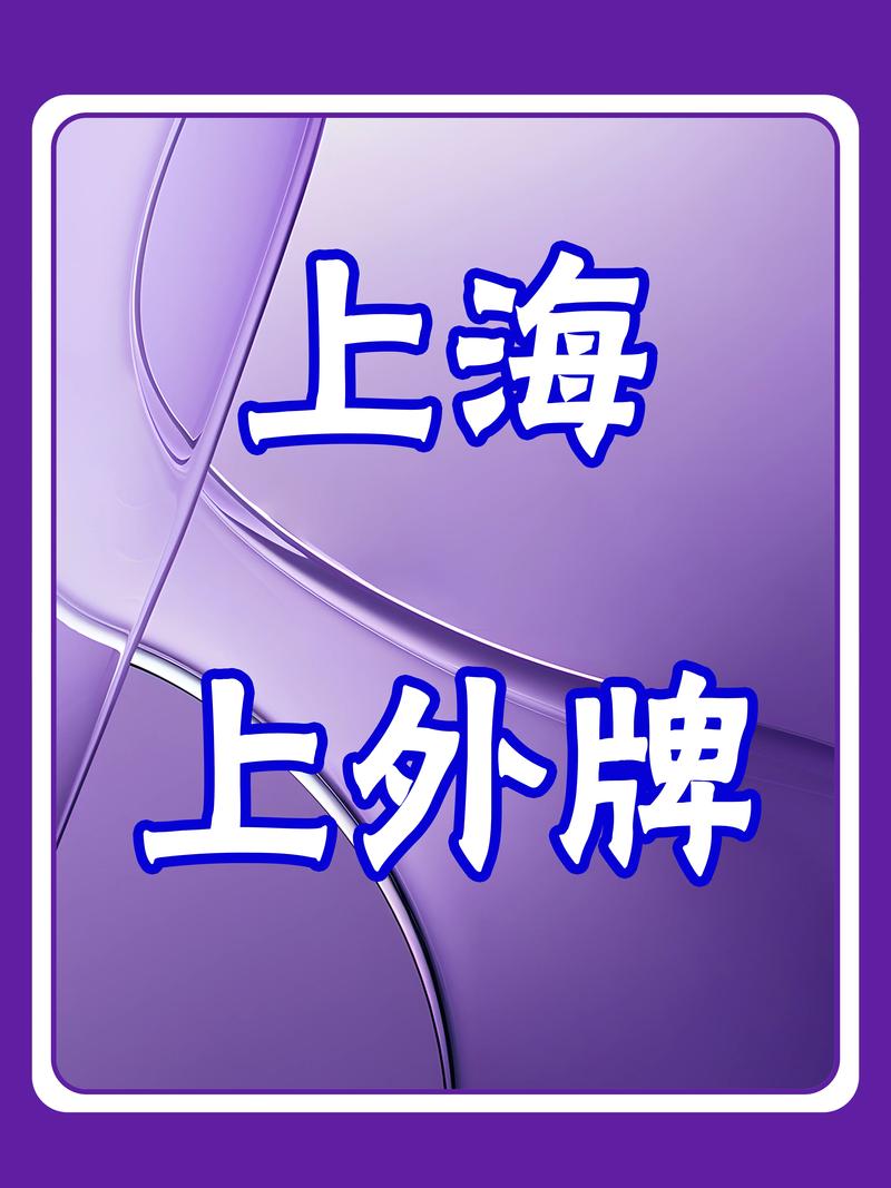 上海车牌:是刚需还是奢侈品?拍牌背后的真相