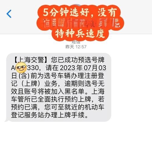 汽车牌照办理,速度惊人,仅需三天!