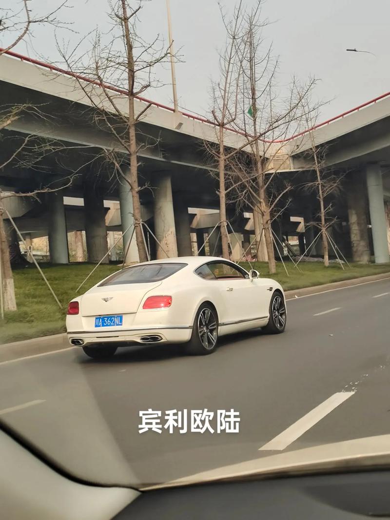 川A车牌号:成都豪车集聚地的独特魅力!