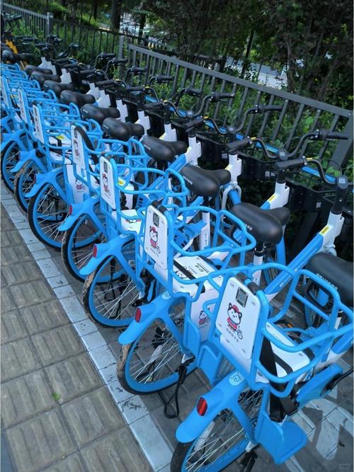 上海街头最火的共享单车:ofo车牌号引领潮流!