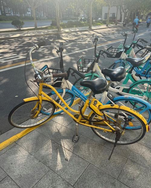 上海街头最火的共享单车:ofo车牌号引领潮流!