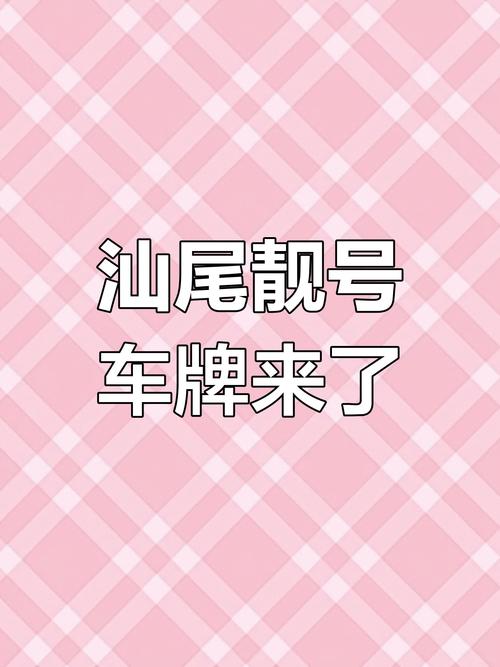汕尾车牌靓号竟炒至百万,市民热议车牌收藏热潮