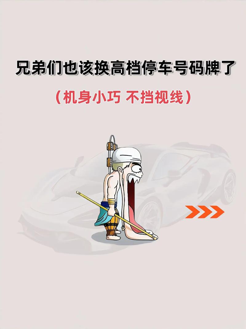 临时车牌轻松停车,停车场新宠!