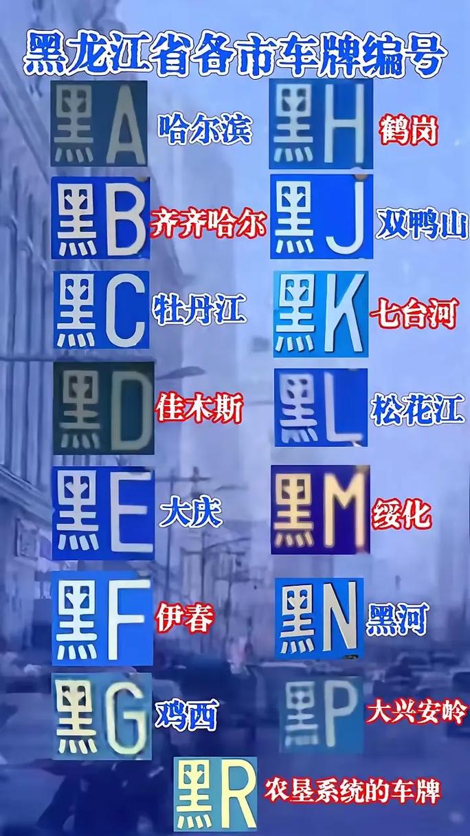 哈尔滨车牌靓号微信群,车牌背后的故事