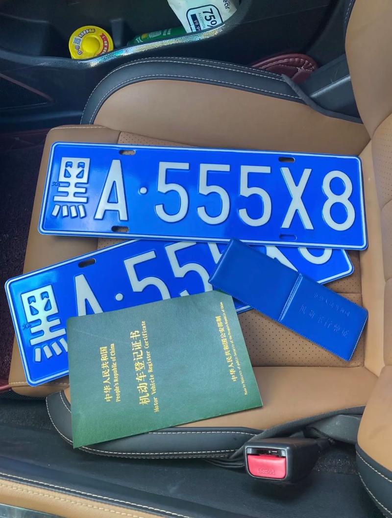 冰城风采,黑龙江车牌号彰显地域魅力!