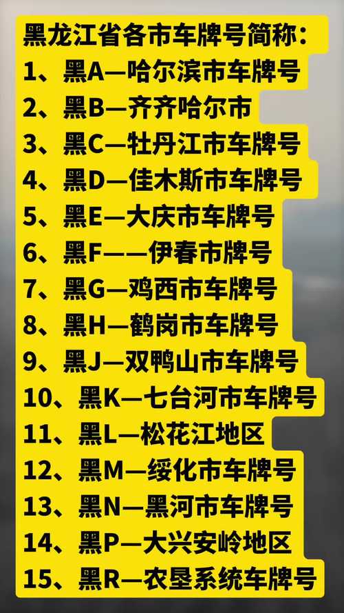 冰城风采,黑龙江车牌号彰显地域魅力!