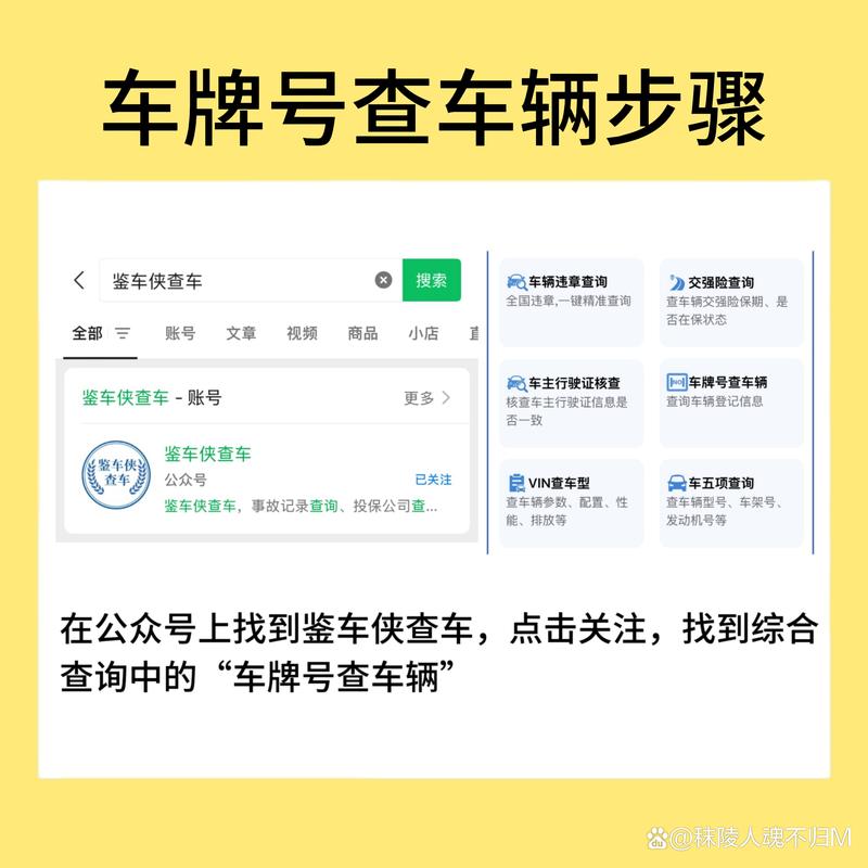 姓名一键查询,车牌号轻松解锁!