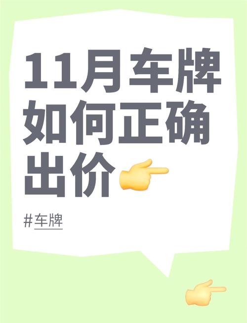 浙江车牌竞价全攻略:车牌竞价流程与技巧