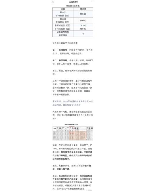 浙江车牌竞价全攻略:车牌竞价流程与技巧