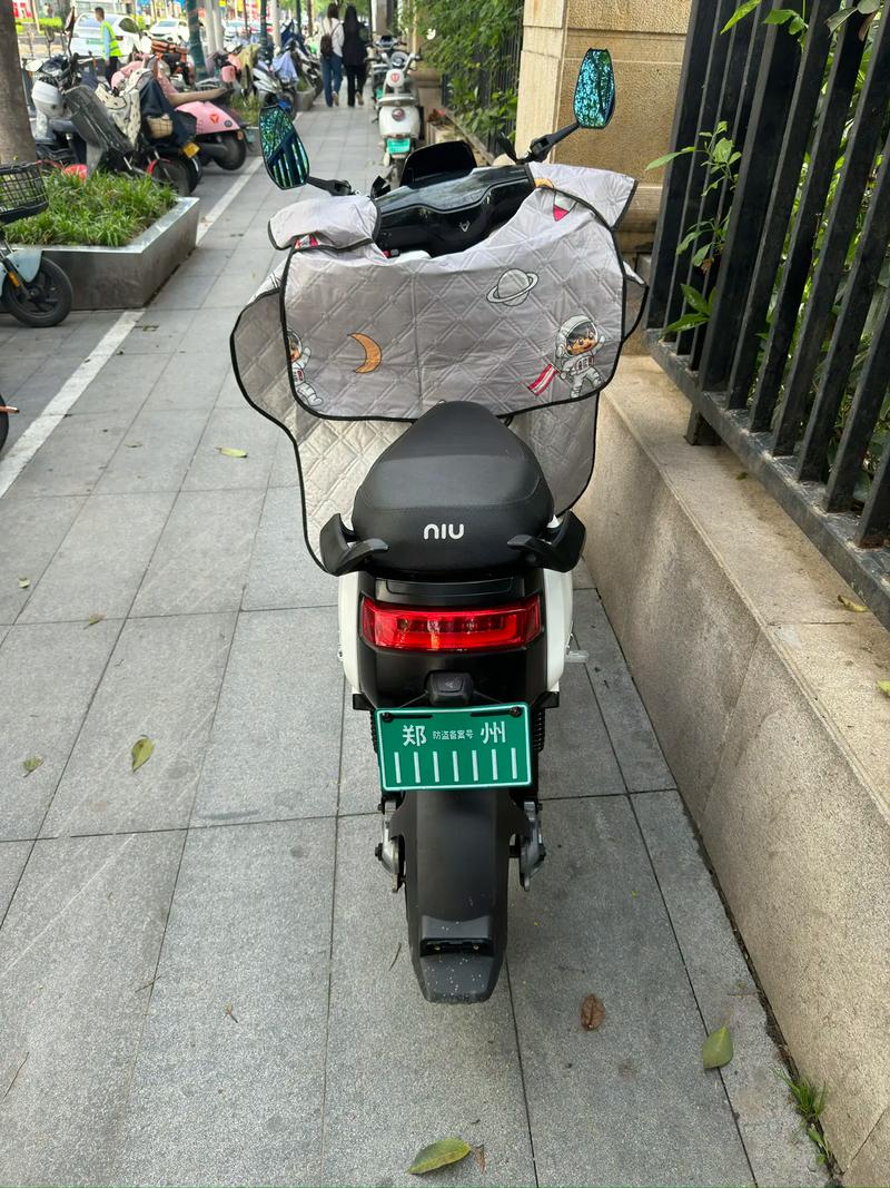电摩车队车牌大曝光:个性车牌引领潮流,街头新宠瞩目全城!