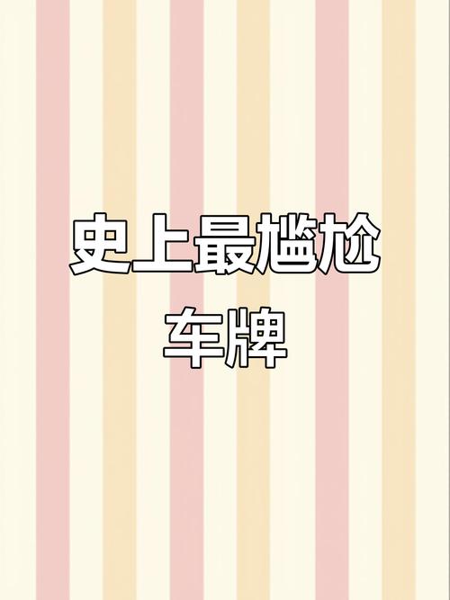 手机选车牌遇尴尬:不满意选项多,车主直呼头疼