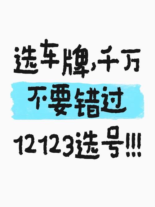 手机选车牌遇尴尬:不满意选项多,车主直呼头疼