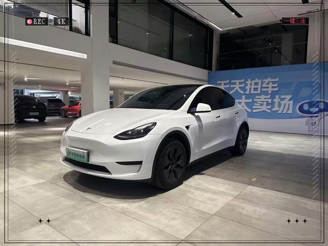 特斯拉新户车牌亮相,引领智能出行新时代!