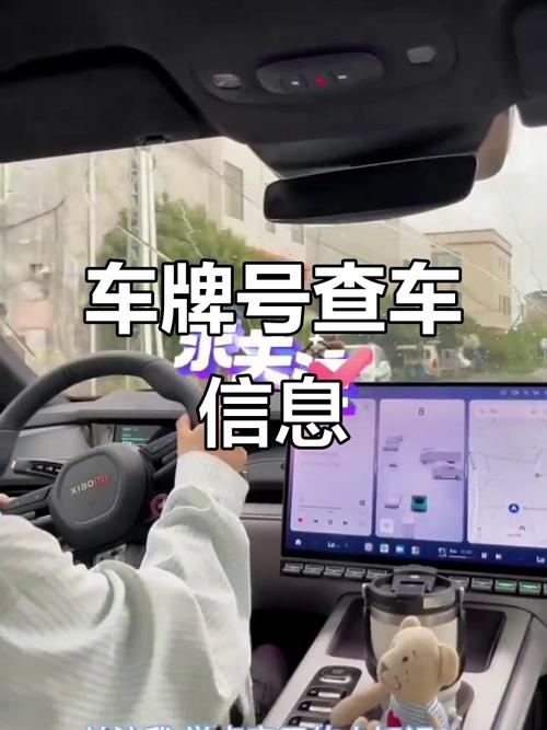 车牌信息一网打尽:车牌查询背后的秘密