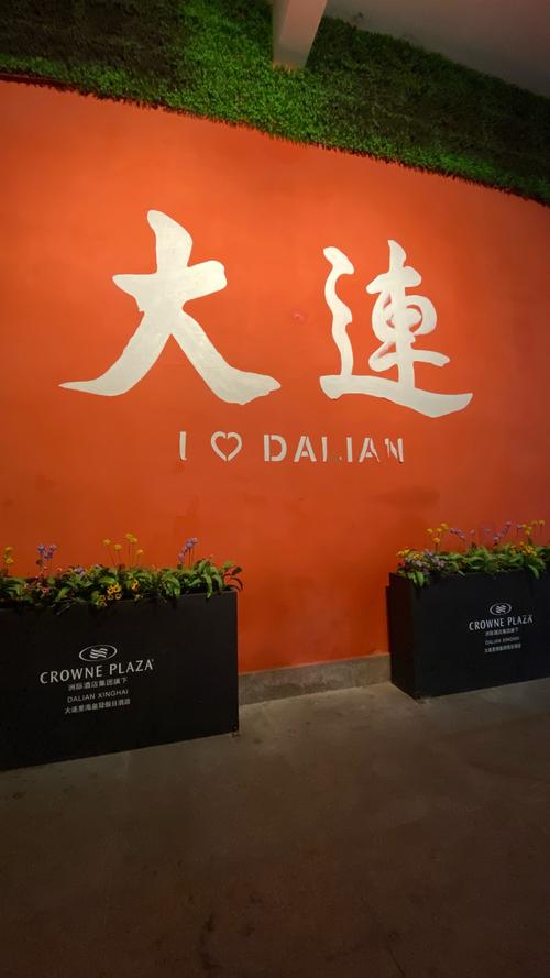 大连车牌靓号：彰显城市魅力，诠释非凡人生