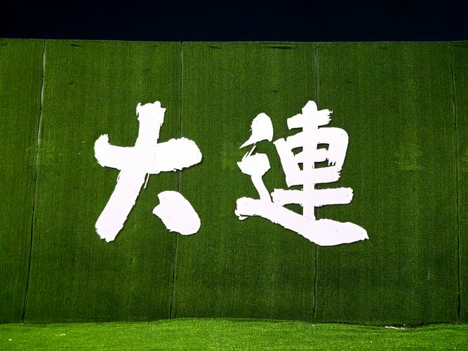 大连车牌靓号：彰显城市魅力，诠释非凡人生