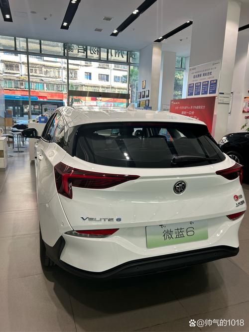 新能源汽车新宠:油电混合动力汽车车牌引领环保出行潮流