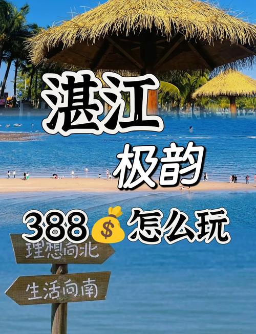 湛江车牌靓号:一抹蓝海中的幸运之光
