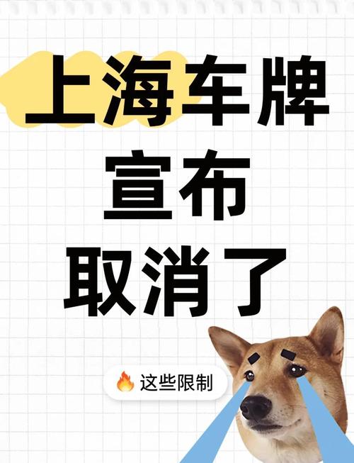 上海车牌过户新政来袭,二手市场风云再起!