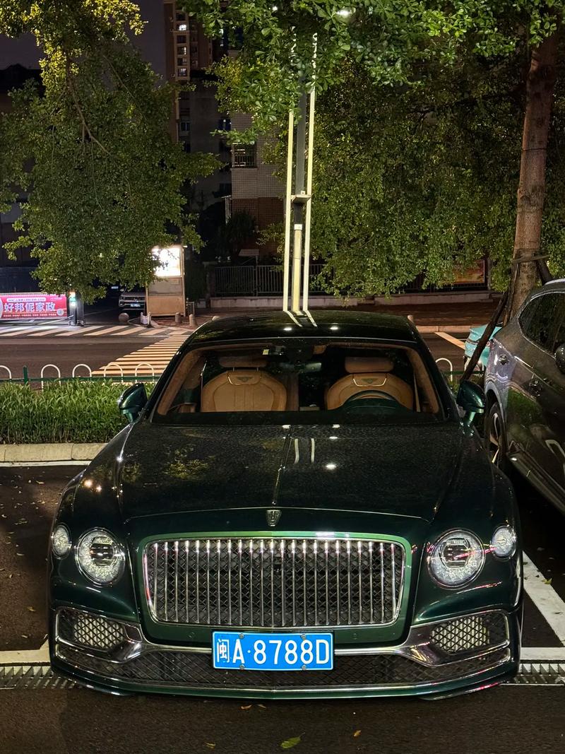 宁德蕉城车牌靓号:一抹独特的城市印记