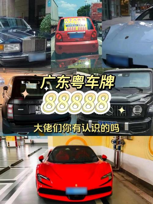粤A88888:车牌中的明星,你的幸运号吗?