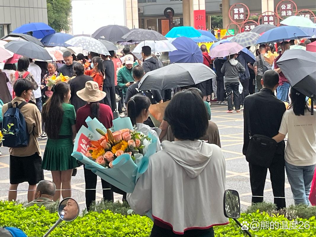 北京车牌摇号,千军万马过独木桥,你准备好了吗?