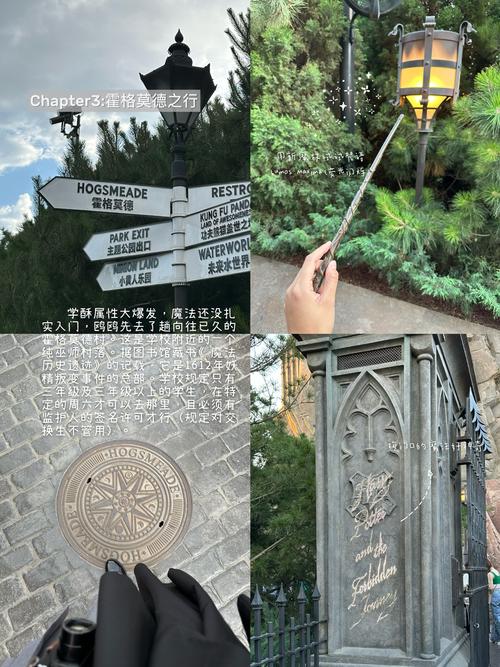 哈利波特临时停车牌:魔法世界的独特标识