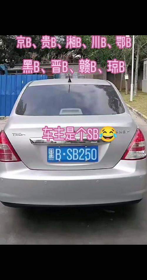 松原车牌号惊现天价靓号,车主喜提独家吉祥车牌!”
