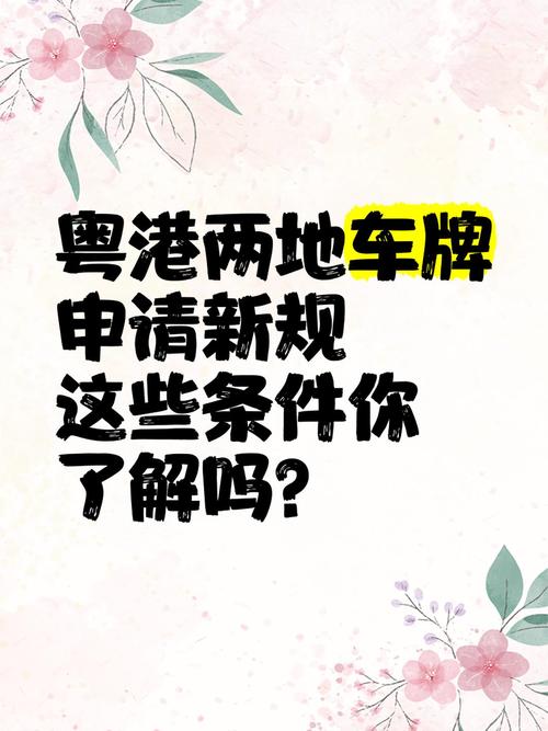 东莞车牌摇号靓号申请,这些条件你达标了吗?