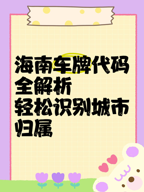 海岛风华,一号难求——海口车牌靓号引发竞相追捧