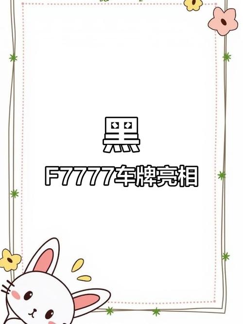 哈尔滨车牌靓号引发抢购热潮,车迷竞相追捧!