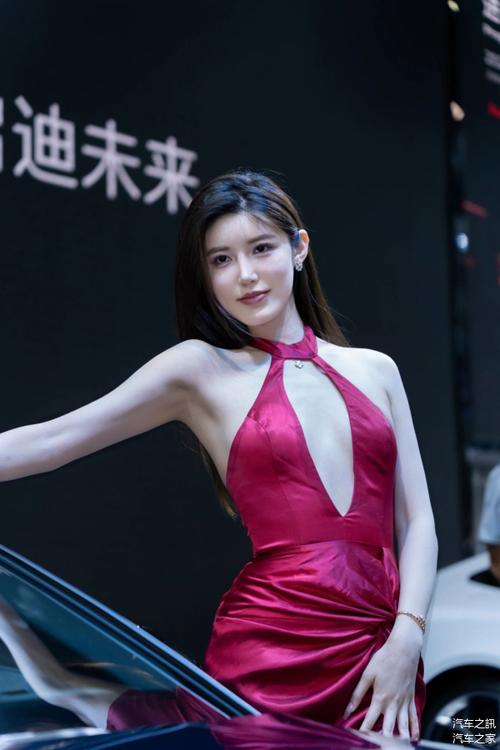 乌鲁木齐车牌靓号：车牌中的明星