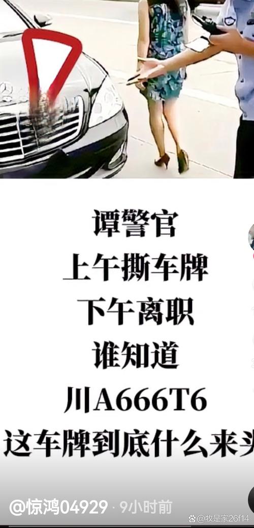 神秘车牌挂字引热议，背后神秘品牌！