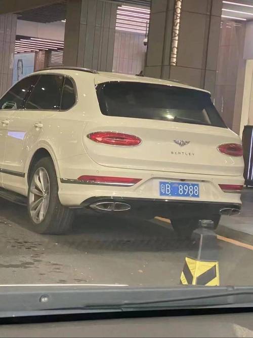 湛江车牌靓号直播:见证车牌选号风云