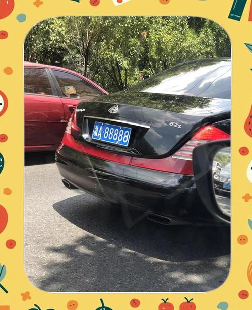 浙A车牌自编号段诞生新爆款,热门车型车主争相抢号!