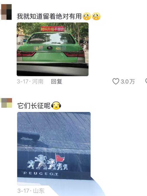 车牌上的内涵段子,车主们的幽默人生