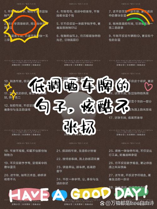 车牌上的内涵段子,车主们的幽默人生