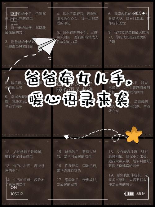 父爱传承:车牌从爸爸手中传递给女儿的温馨时刻