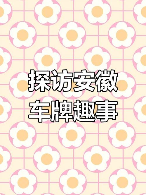 皖H车牌号:探寻其所属地区及区号之谜!