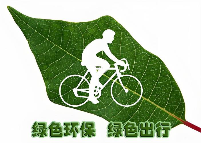 安庆新能源车牌靓号,绿色出行新风尚