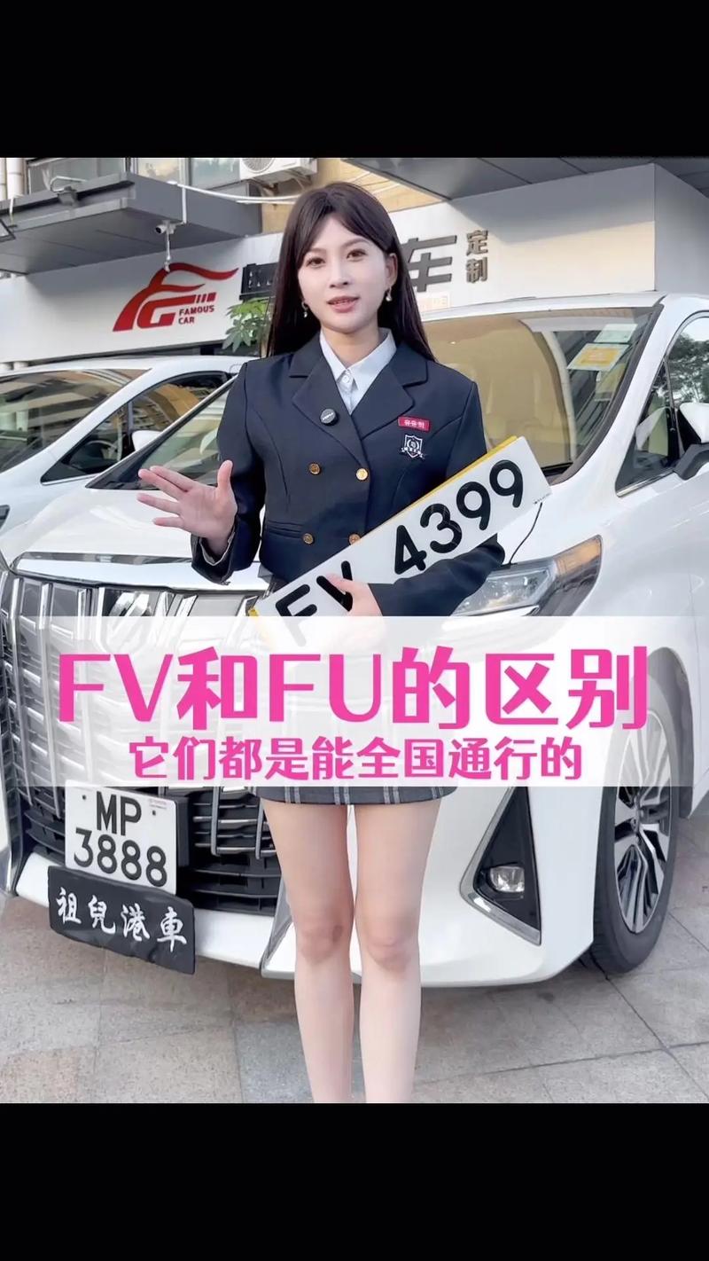 惊艳登场!fv车牌白色黄色搭配成为热门新宠!