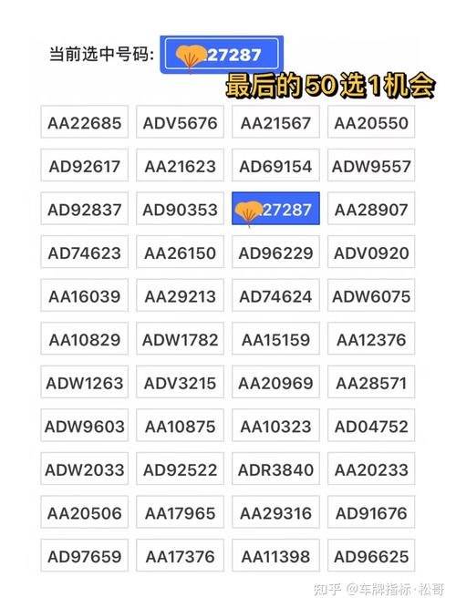 网上选车牌号发票审核,严格把关确保公平公正