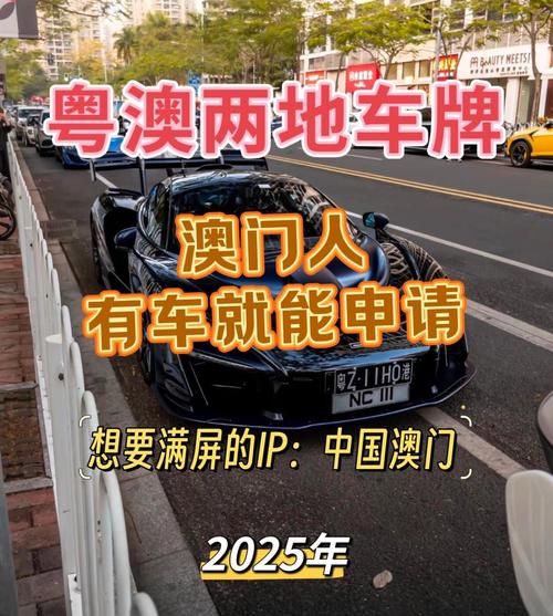 一图详解:如何轻松申请港珠澳车牌