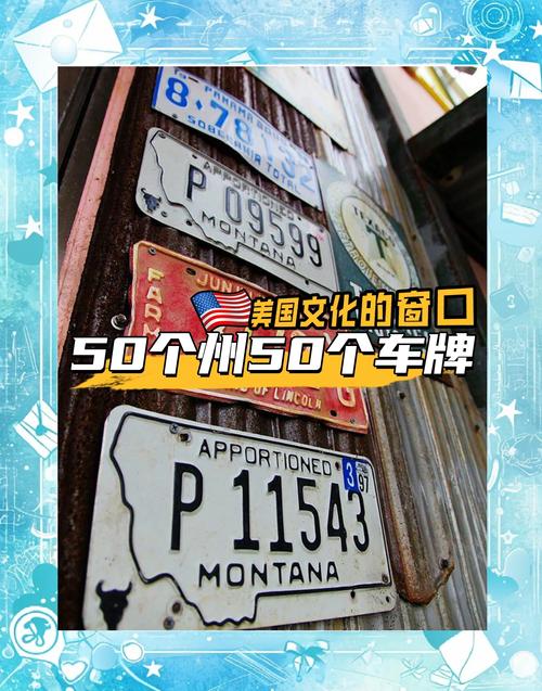 567车牌号:独特魅力,引发热议!